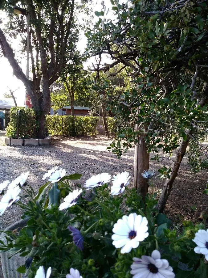 Campsite Campeggio Bocca Di Cecina Marina di Cecina